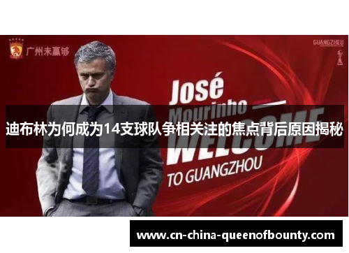 迪布林为何成为14支球队争相关注的焦点背后原因揭秘